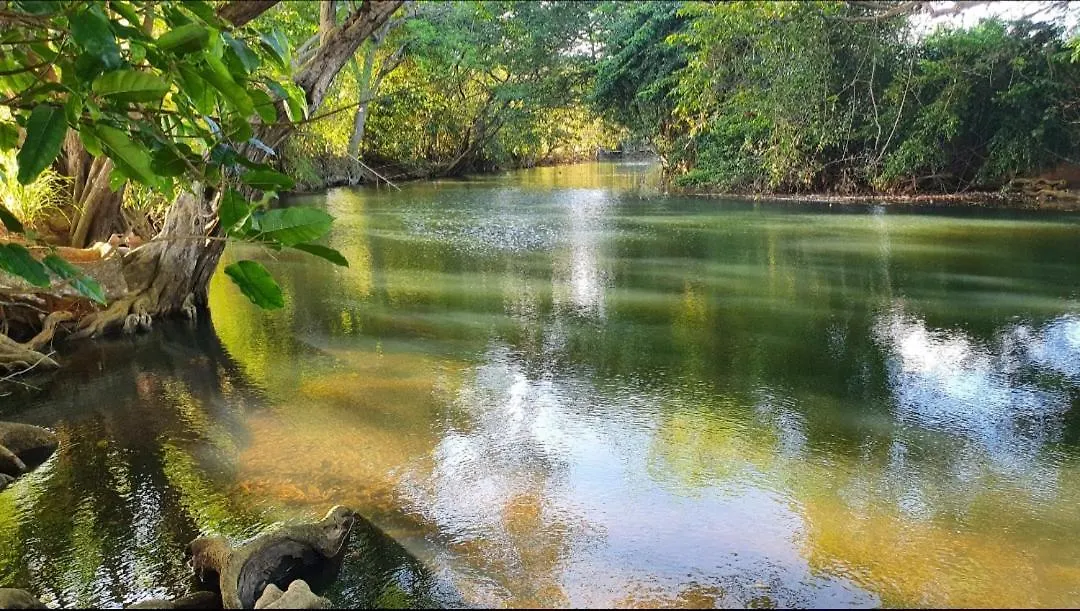 Private River Petit-Bourg